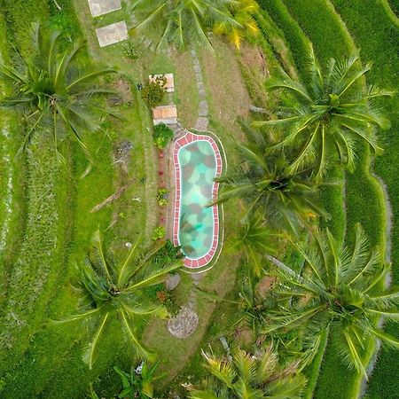 Pesona Bali Ecolodge By Agata Джатилувих Екстериор снимка