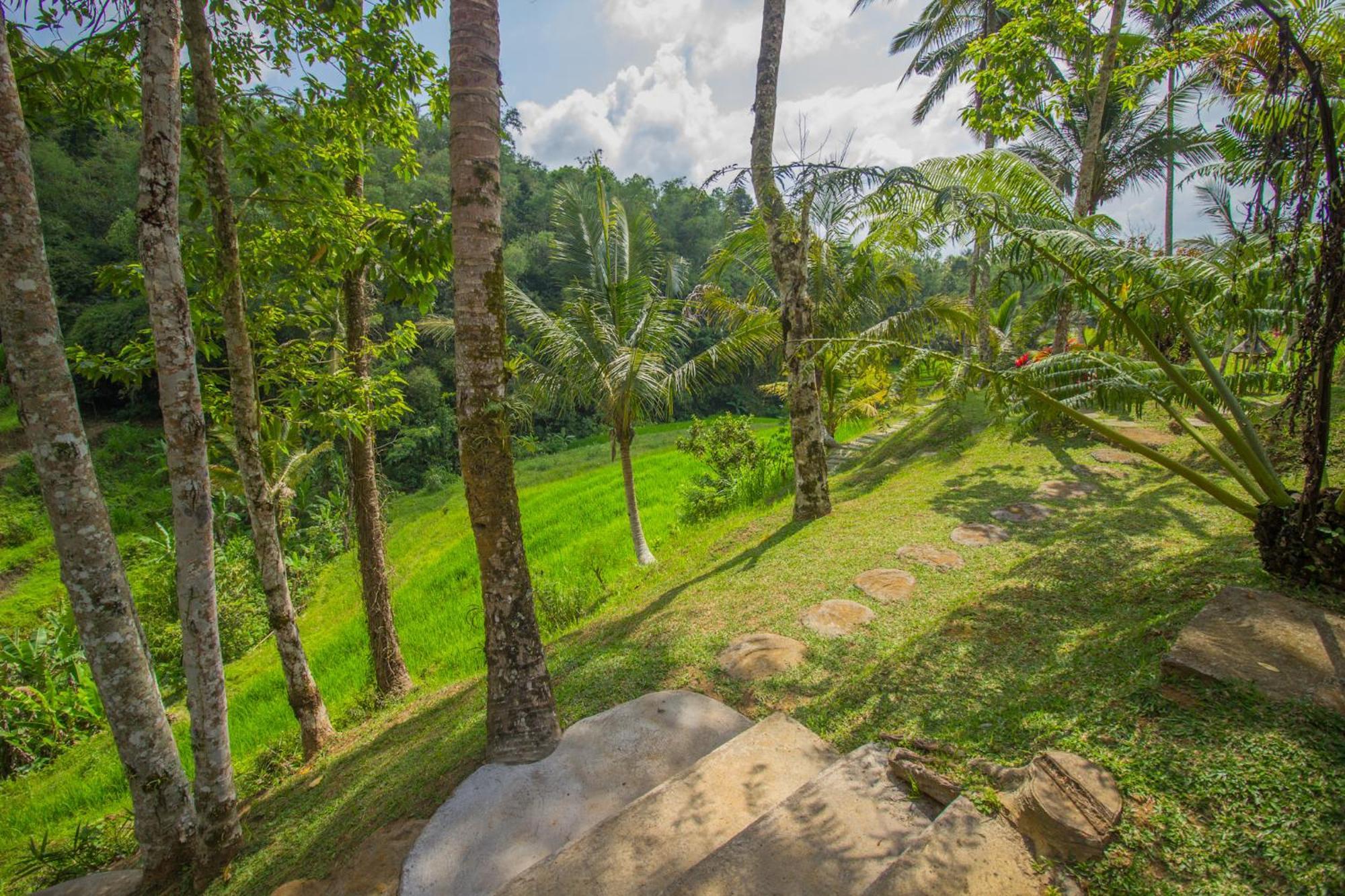 Pesona Bali Ecolodge By Agata Джатилувих Екстериор снимка