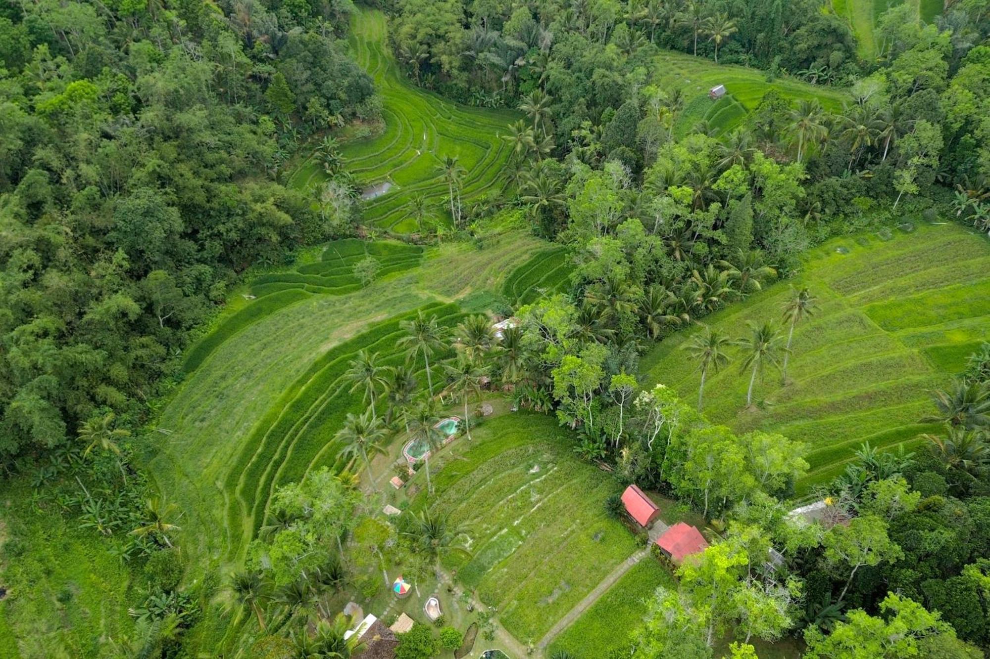 Pesona Bali Ecolodge By Agata Джатилувих Екстериор снимка